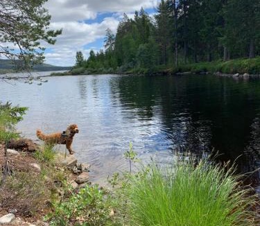 Lofsdalen House | 1125 Fjällstugan