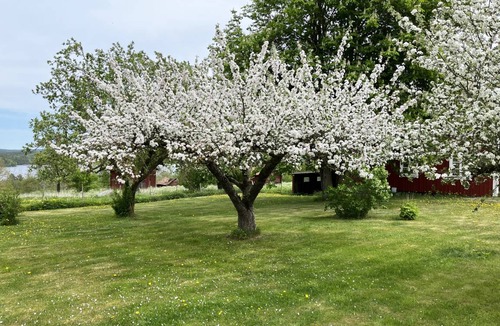 Gullringen House | 115 m² House ∙ 3 bedrooms ∙ 7 guests