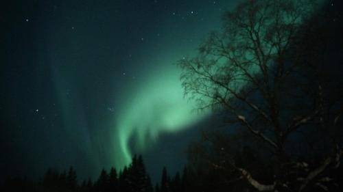 Stromsund Municipality Bed & Breakfast | 15 m² Bed and breakfast ∙ 4 guests