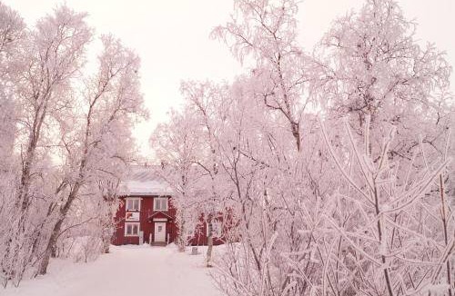 Abisko Hostel | 16 m² Hostel ∙ 3 guests