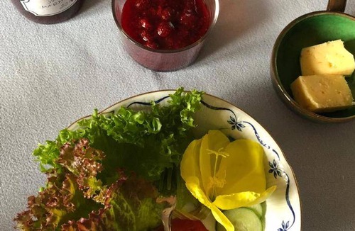 Helsingborg Municipality Bed & Breakfast | 19 m² Bed and breakfast ∙ 2 guests