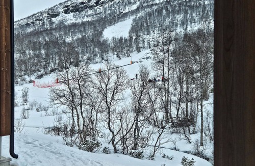 Hovden Apartment | 2 bedroom cozy apartment in Hovden i Setesdal