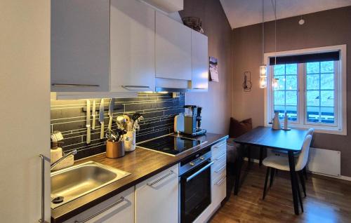 Roldal Apartment | 2 Bedroom Cozy Apartment In Røldal
