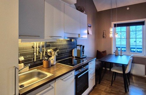 Roldal Apartment | 2 bedroom cozy apartment in Røldal