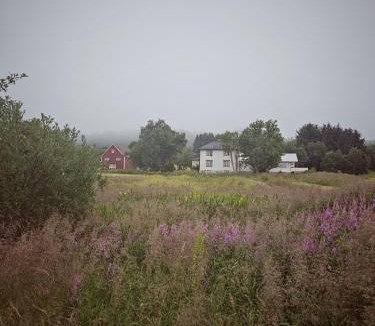 Vestvagøy Apartment | 2 Houses & a Barn Ground Floor