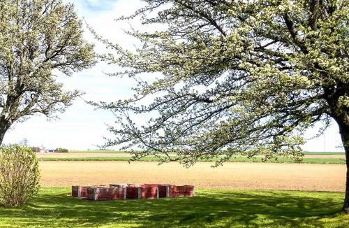 Odeshog House | 2 person holiday home in ÖDESHÖG