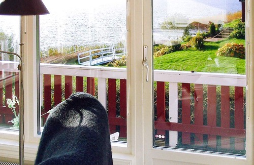 Ammeberg House | 2 person holiday home in åMMEBERG-By Traum