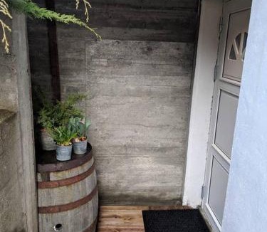 Flåm Apartment | ★ 20 min walk to station, w/rain shower and SNES ★ - Apartment - Apartment