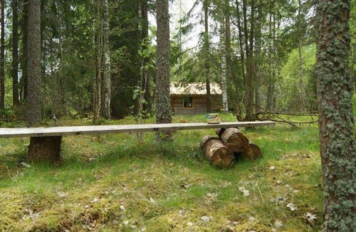 Alvkarleby Cabin | 20 m² Lodge ∙ 2 guests
