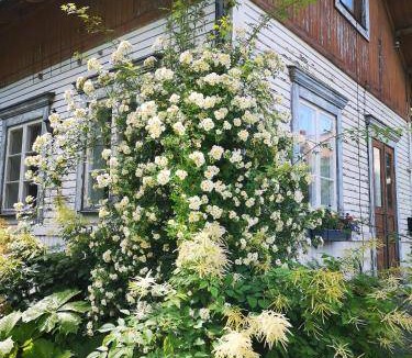 Grangesberg Bed & Breakfast | 22 m² Bed and breakfast ∙ 2 guests