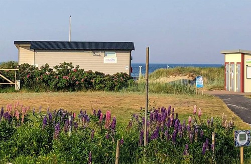 Falkenberg House | 28 m² House ∙ 1 bedroom ∙ 4 guests