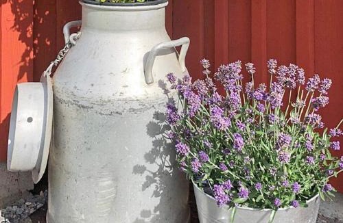 Traslovslage House | 3 person holiday home in TRÄLÖVSLÄGE-By Traum