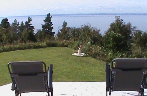 Odeshog Municipality House | 36 m² House ∙ 1 bedroom ∙ 3 guests