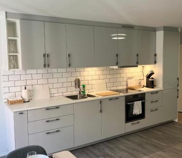 Oslo City Centre Apartment | 3BR Penthouse in city center with free parking