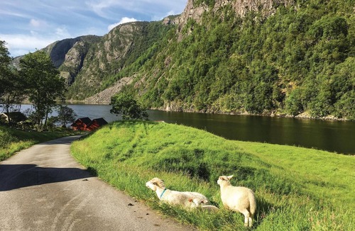 Suldal House | 4 bedroom amazing home in Erfjord