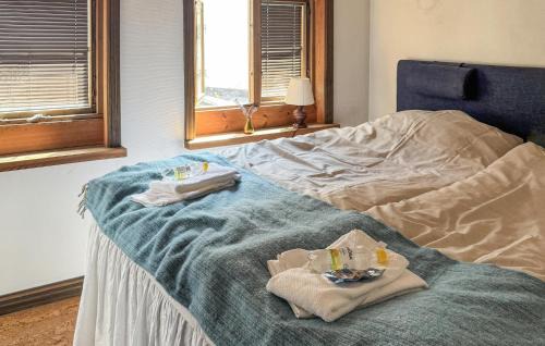 Innerstaden House | 4 Bedroom Cozy Home In Visby