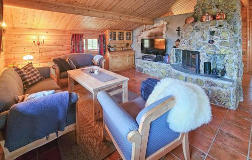 Atra House | 4 Bedroom Gorgeous Home In Rjukan
