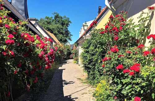 Gotlands Tofta House | 4 Person Holiday Home in Gotlands.tofta