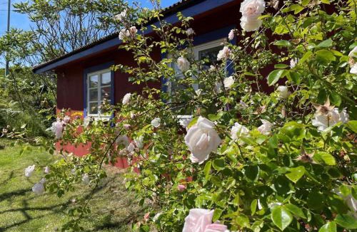 Skaerhamn House | 4 person holiday home in Skärhamn-By Traum