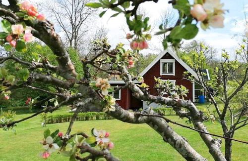 Holmsjo House | 4 person holiday home in Holmsjö-By Traum