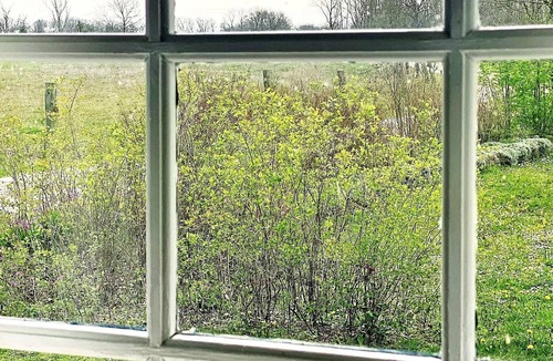 Sodvik House | 4 person holiday home in Löttorp