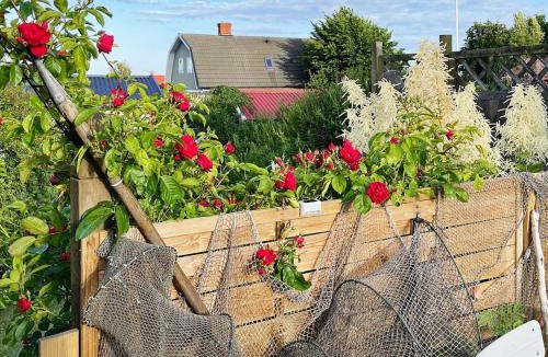 Hallevik House | 4 person holiday home in SÖLVESBORG-By Traum