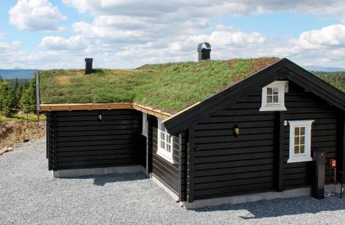 Skeikampen House | 4 star holiday home in Svingvoll