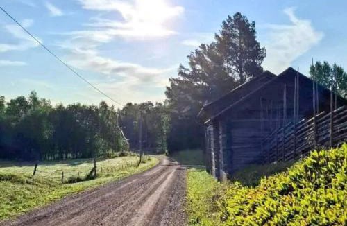 Dalarna House | 4 star holiday home in SKATTUNGBYN ORSA
