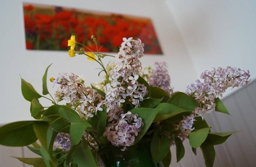 Holsbybrunn House | 44 m² House ∙ 2 bedrooms ∙ 4 guests