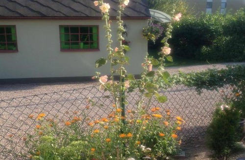 Kristianstad Bed & Breakfast | 45 m² Bed and breakfast ∙ 6 guests