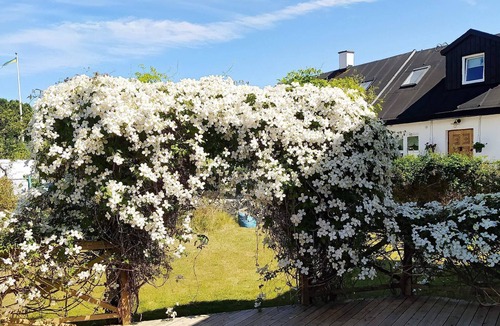 Smygehamn House | 5 person holiday home in SMYGEHAMN