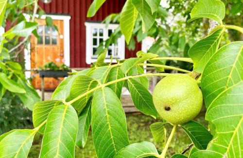 Borgholm House | 5 person holiday home in BORGHOLM