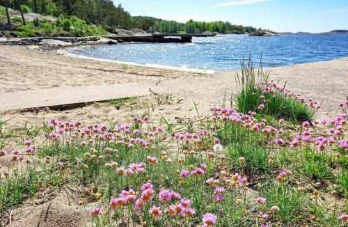 Lokholmen House | 5 person holiday home in STRÖMSTAD