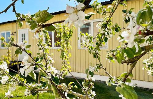 Romakloster House | 5 person holiday home in Romakloster-By Traum