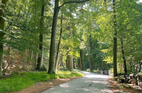 Solvesborg House | 6 person holiday home in SÖLVESBORG