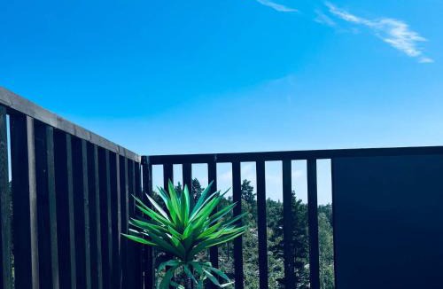 Risor House | 6 person holiday home in Søndeled-By Traum