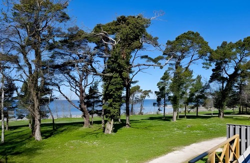 Visby Resort | 64 m² Resort ∙ 4 bedrooms ∙ 127 guests