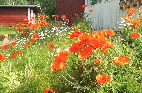 Nassjo Municipality House | 7 person holiday home in NÄSSJÖ