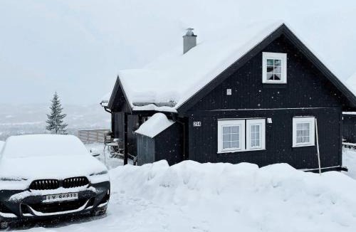 Rauland House | 7 person holiday home in Rauland-By Traum