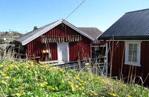 Flakstad Apartment | 8 person holiday home in Mølnarodden
