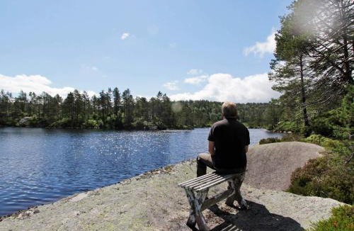 Lyngdal House | 8 person holiday home in Kvås