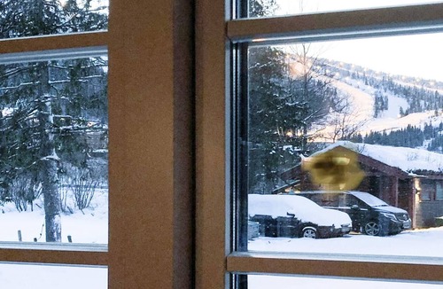Hemsedal House | 8 person holiday home in Hemsedal