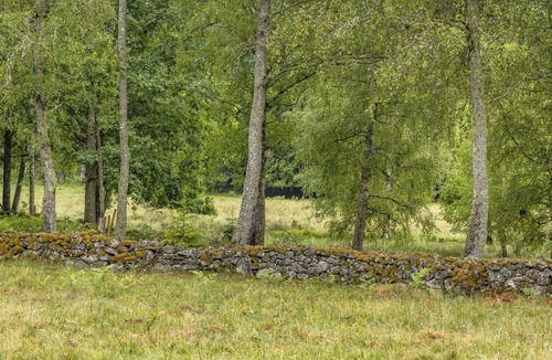Kyrkhult Other | 80 m² Accommodation ∙ 1 bedroom ∙ 6 guests