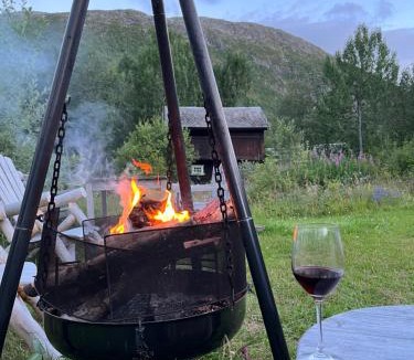 Hemsedal House | 9 bed Authentic Norwegian cabin with sauna and hot tub
