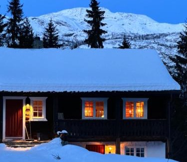 Hemsedal House | 9 bed Authentic Norwegian cabin with sauna and hot tub