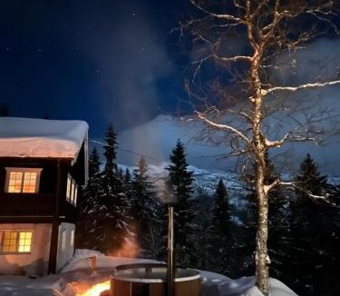 Hemsedal House | 9 bed Authentic Norwegian cabin with sauna and hot tub