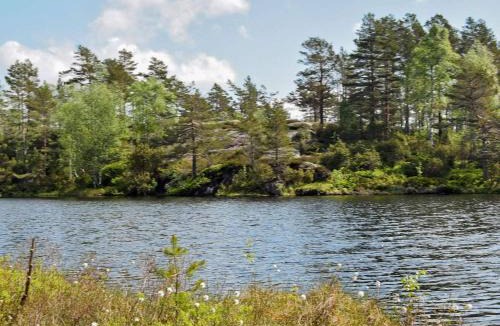 Marnardal House | 9 person holiday home in BJELLAND