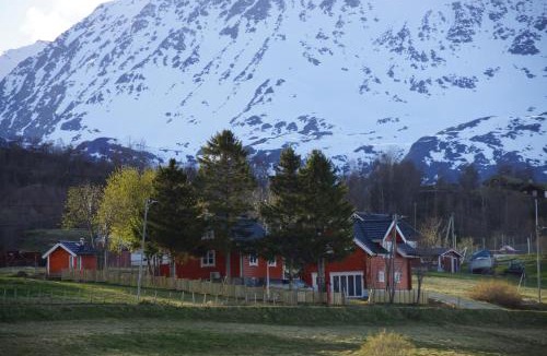 Lyngen Apartment | Aaroybukt Guesthouse