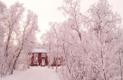 Abisko Hostel | Abisko net Hostel & Huskies