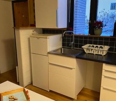 Vaxjo Apartment | ABONNERA Lugnt centralt parkering altan
